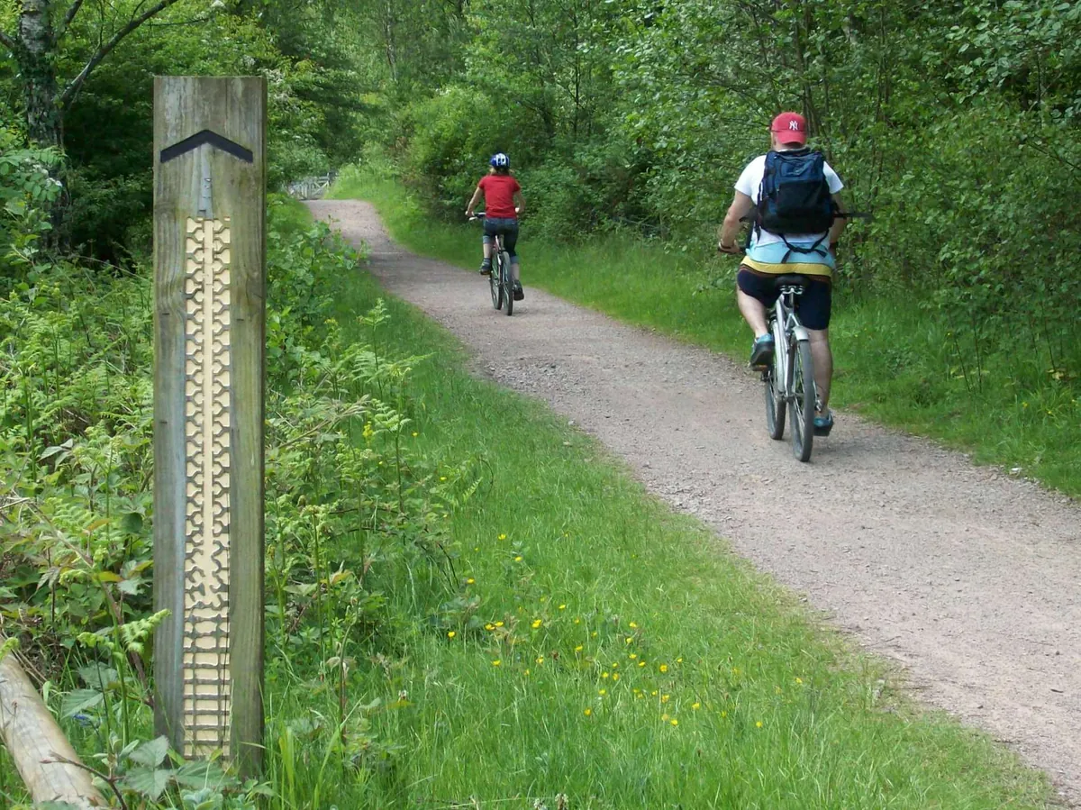 Mountain electric bikes